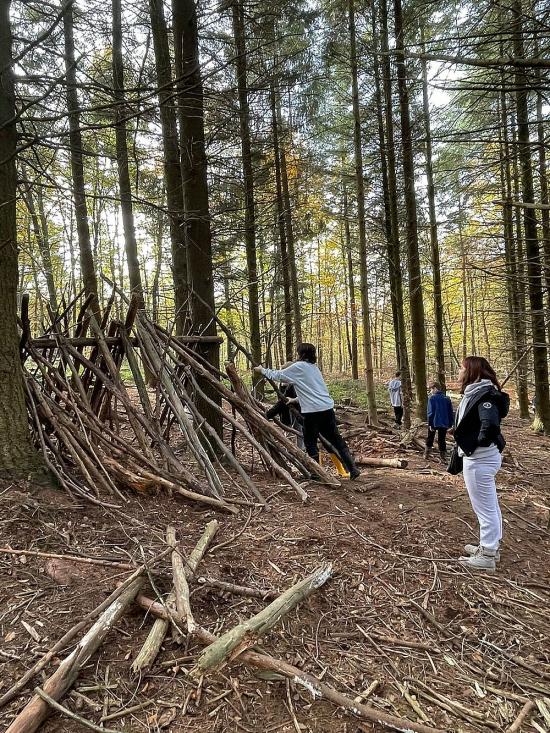IKL Projekt "Wald in neuer Umgebung" 