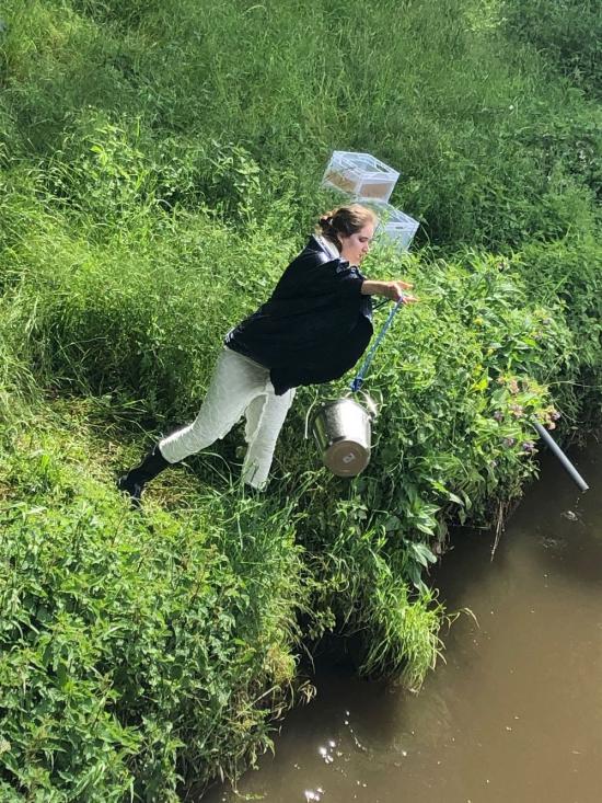 Klasse 7.4 gemeinsam mit der EF im Kulturscouteinsatz : DURST – Die Zukunft des Wassers