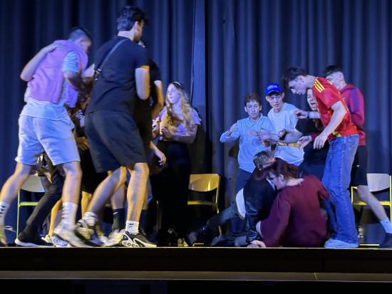 Q1 Literaturkurs brilliert : Ihr Stück "Der zerschossene Krug" begeistert