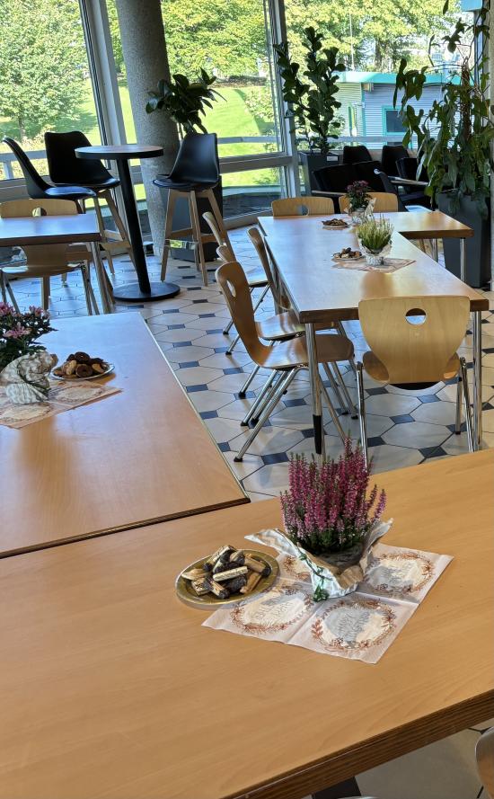 Gemeinsam im Gespräch: EFG-Medien-Café für Eltern - 24/07 online mit Smartphone und Tablet? Digitales Lernen in der Schule und Social Media in der Freizeit