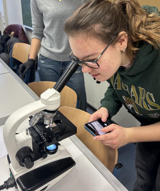 Einen wissenschaftlichen Blick ins Innenleben des Schweinegehirns