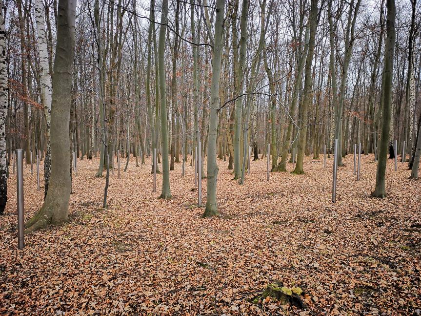 Foto © Mathis Ullrich 