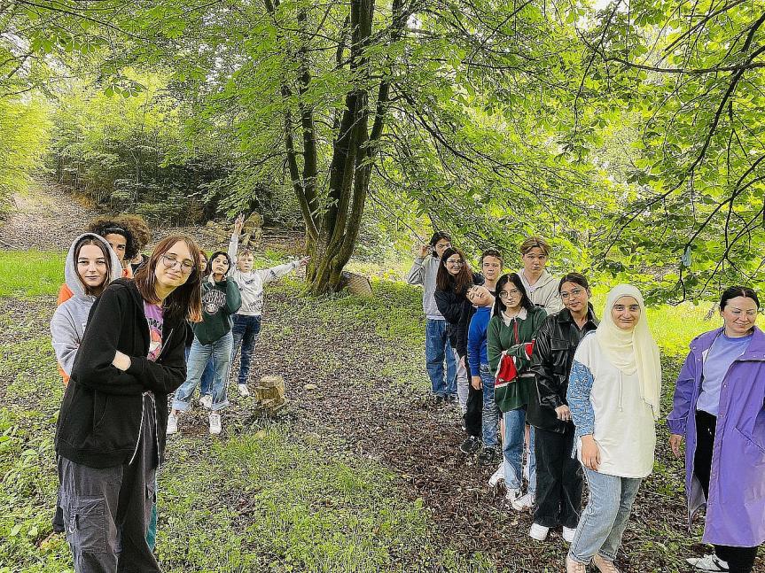 Das Waldprojekt der Internationalen Klassen findet einen Abschluss - Den Wald in neuer Umgebung kennen lernen