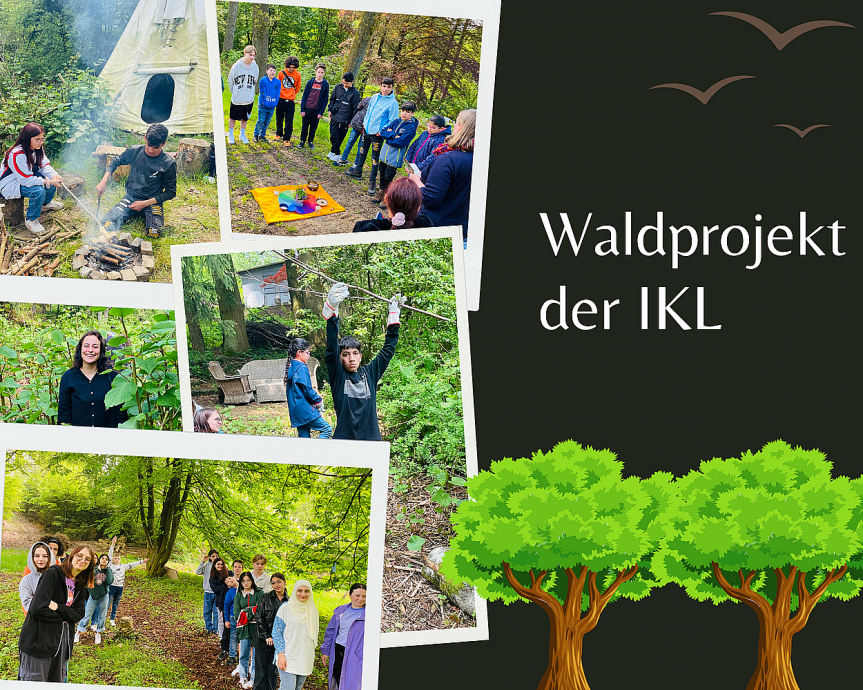 Das Waldprojekt der Internationalen Klassen findet einen Abschluss - Den Wald in neuer Umgebung kennen lernen