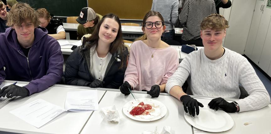 Einen wissenschaftlichen Blick ins Innenleben des Schweinegehirns