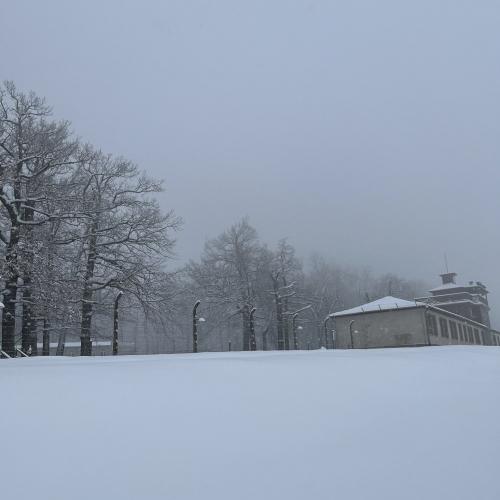 Lyrische Nachlese der Q1: KZ Buchenwald 